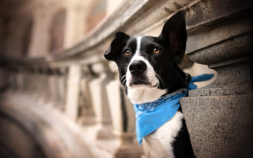 1754870 (a): :1920x1200